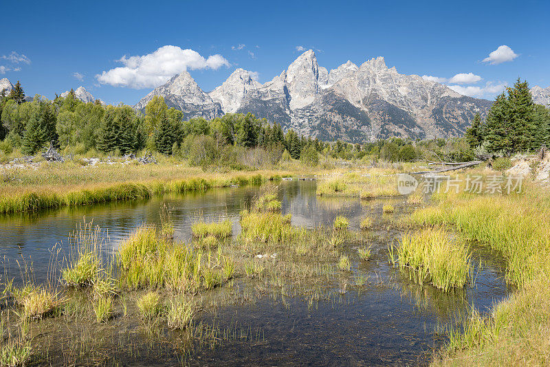 大提顿国家公园的山峰在Schwabacher's Landing，怀俄明州，美国